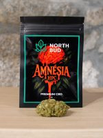 Amnesia - Flor de HPC