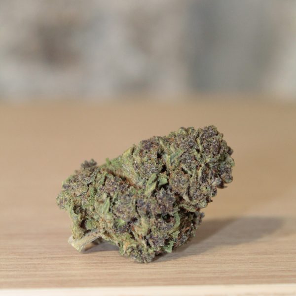 Purple Haze - Flor de CBD