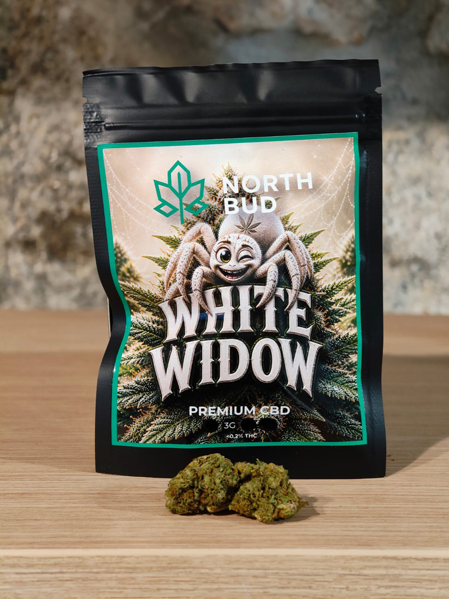flor_hpc_whitewidow White Widow – Flor de HPC