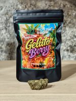 Gelato Berry - Flor de CBD